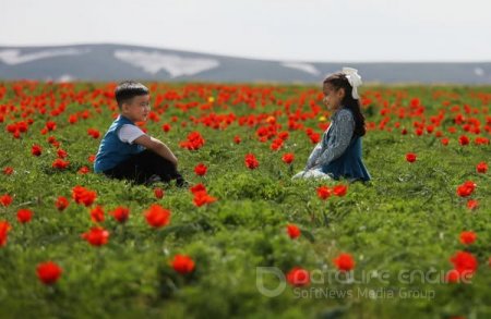 Талас даласындағы табиғат пен мәдениеттің тоғысы